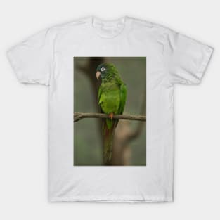 112418 Green Parrot T-Shirt